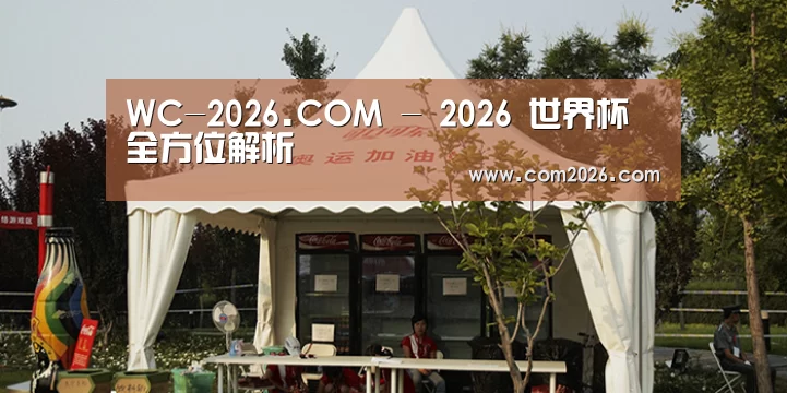 案例标题五