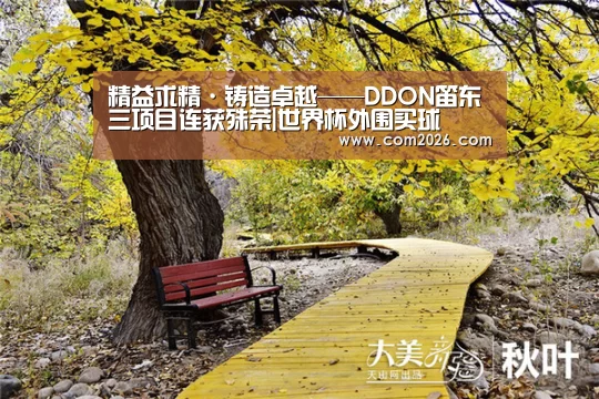 精益求精·铸造卓越——DDON笛东三项目连获殊荣|世界杯外围买球(图1) 世界杯买球网站