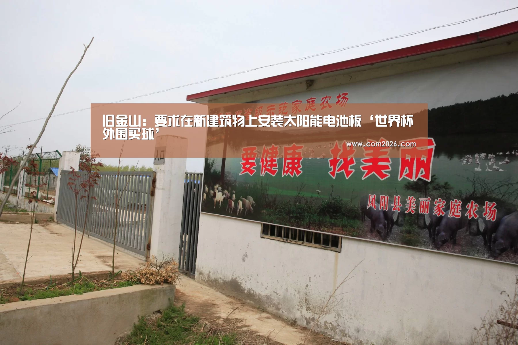旧金山:要求在新建筑物上安装太阳能电池板‘世界杯外围买球’(图2) 世界杯买球网站