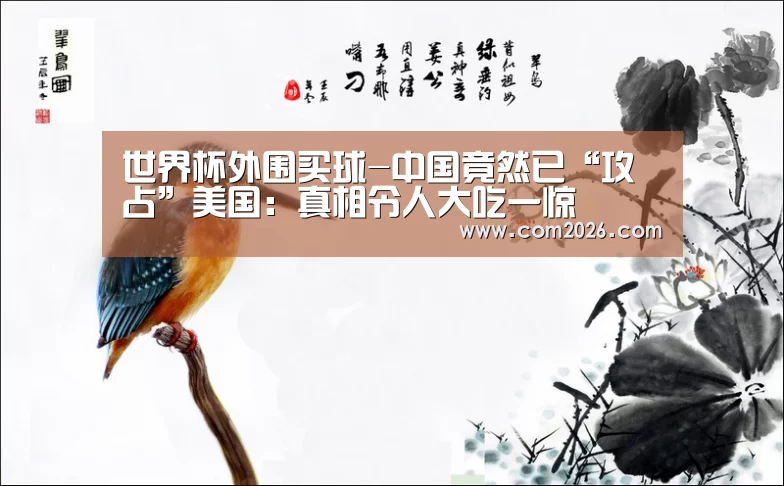 世界杯外围买球-中国竟然已“攻占”美国:真相令人大吃一惊(图1) 世界杯投注
