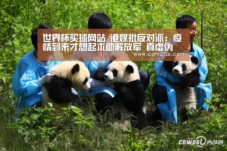 世界杯买球网站_港媒批反对派:疫情到来才想起求助解放军 真虚伪(图2) 2026世界杯
