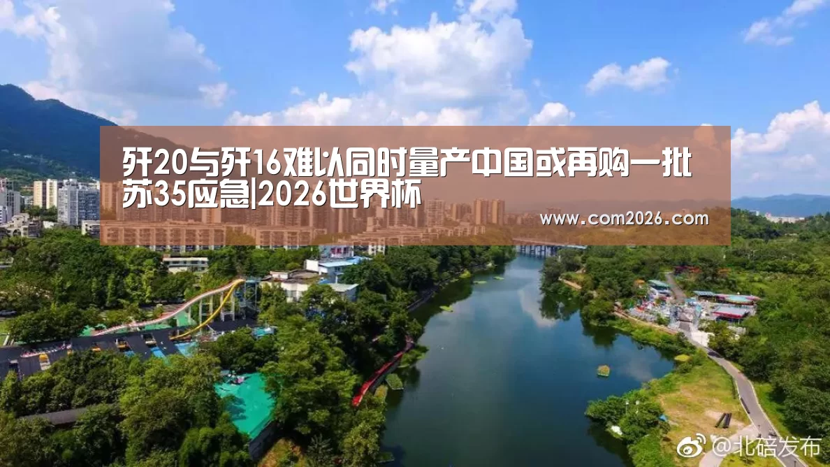 歼20与歼16难以同时量产中国或再购一批苏35应急|2026世界杯(图2) 世界杯买球网站