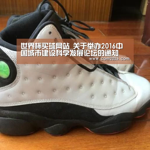 世界杯买球网站_关于举办2016中国城市建设科学发展论坛的通知(图2) 世界杯外围买球