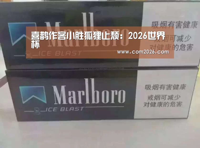 喜鹊作客小胜狐狸止颓:2026世界杯(图1) 2026世界杯