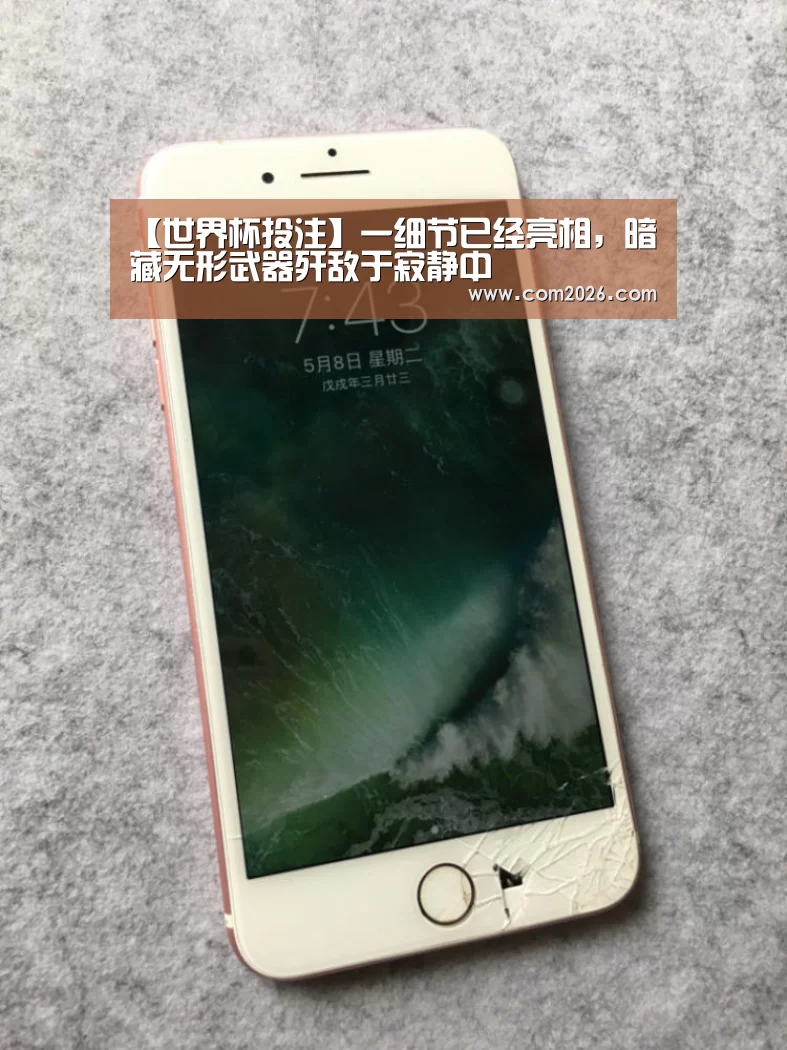 【世界杯投注】一细节已经亮相,暗藏无形武器歼敌于寂静中(图3) 2026世界杯
