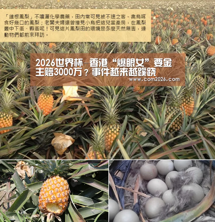 2026世界杯-香港“爆眼女”要金主赔3000万?事件越来越蹊跷(图1) 世界杯买球网站