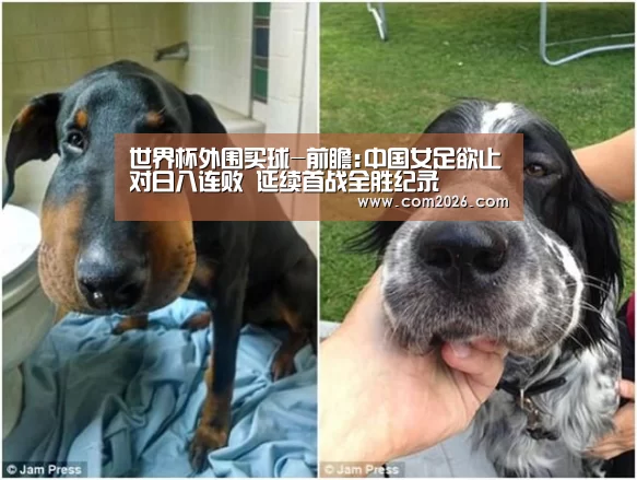 世界杯外围买球-前瞻:中国女足欲止对日八连败 延续首战全胜纪录(图1) 世界杯外围买球