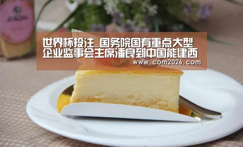 世界杯投注_国务院国有重点大型企业监事会主席潘良到中国能建西北电建调研(图2) 世界杯外围买球