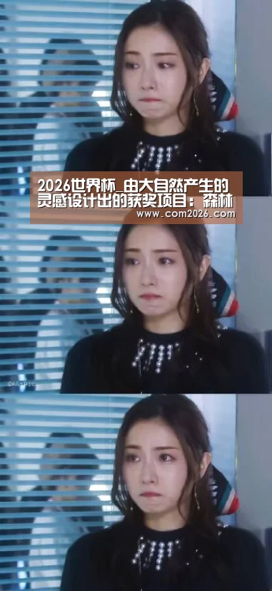 2026世界杯_由大自然产生的灵感设计出的获奖项目:森林剧院(图4) 世界杯投注